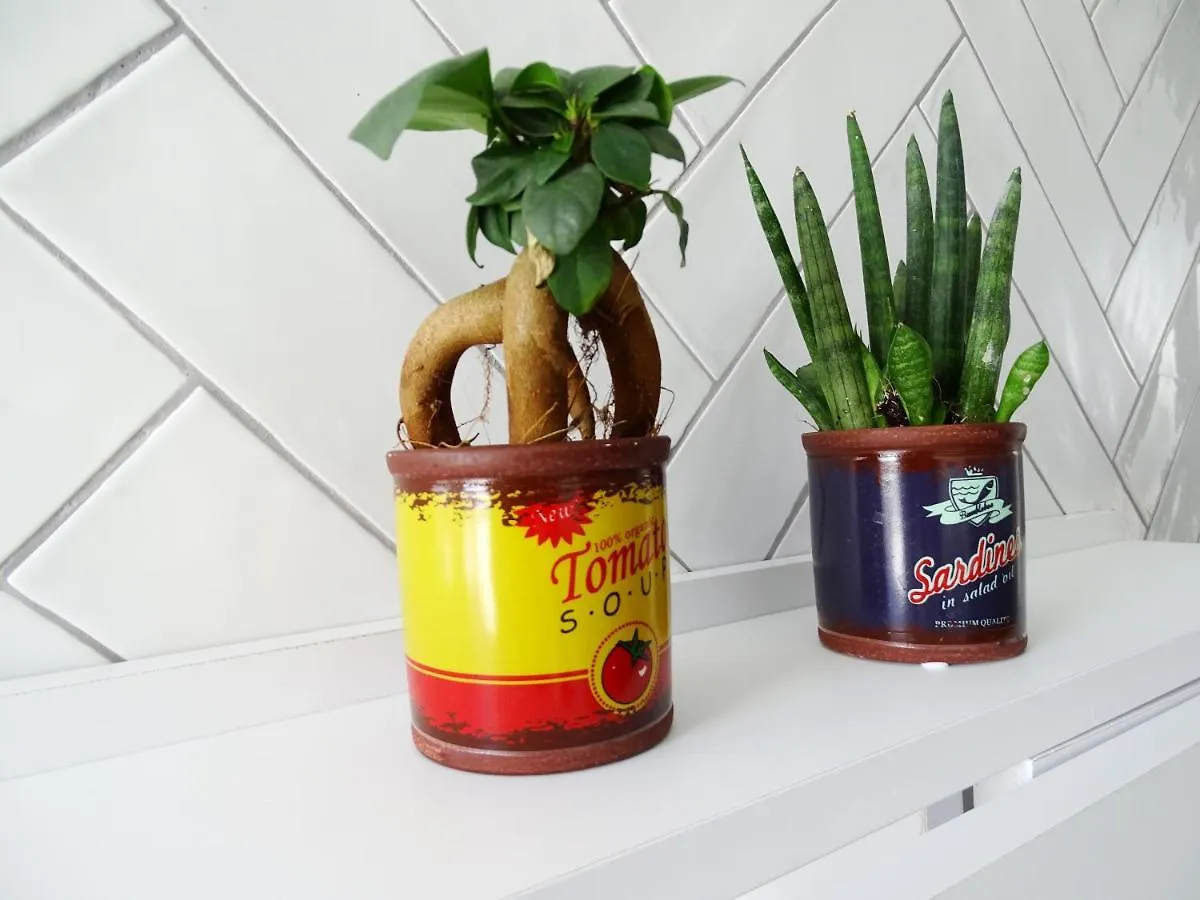 El Atico De Los Mosaicos Cadix Appartement